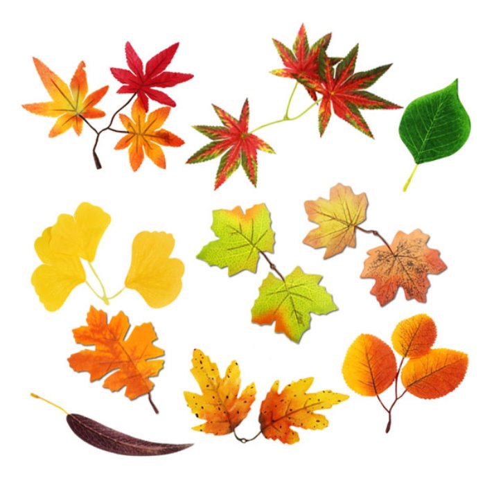 가을 낙엽 시리즈_10종택1 (만들기 재료)